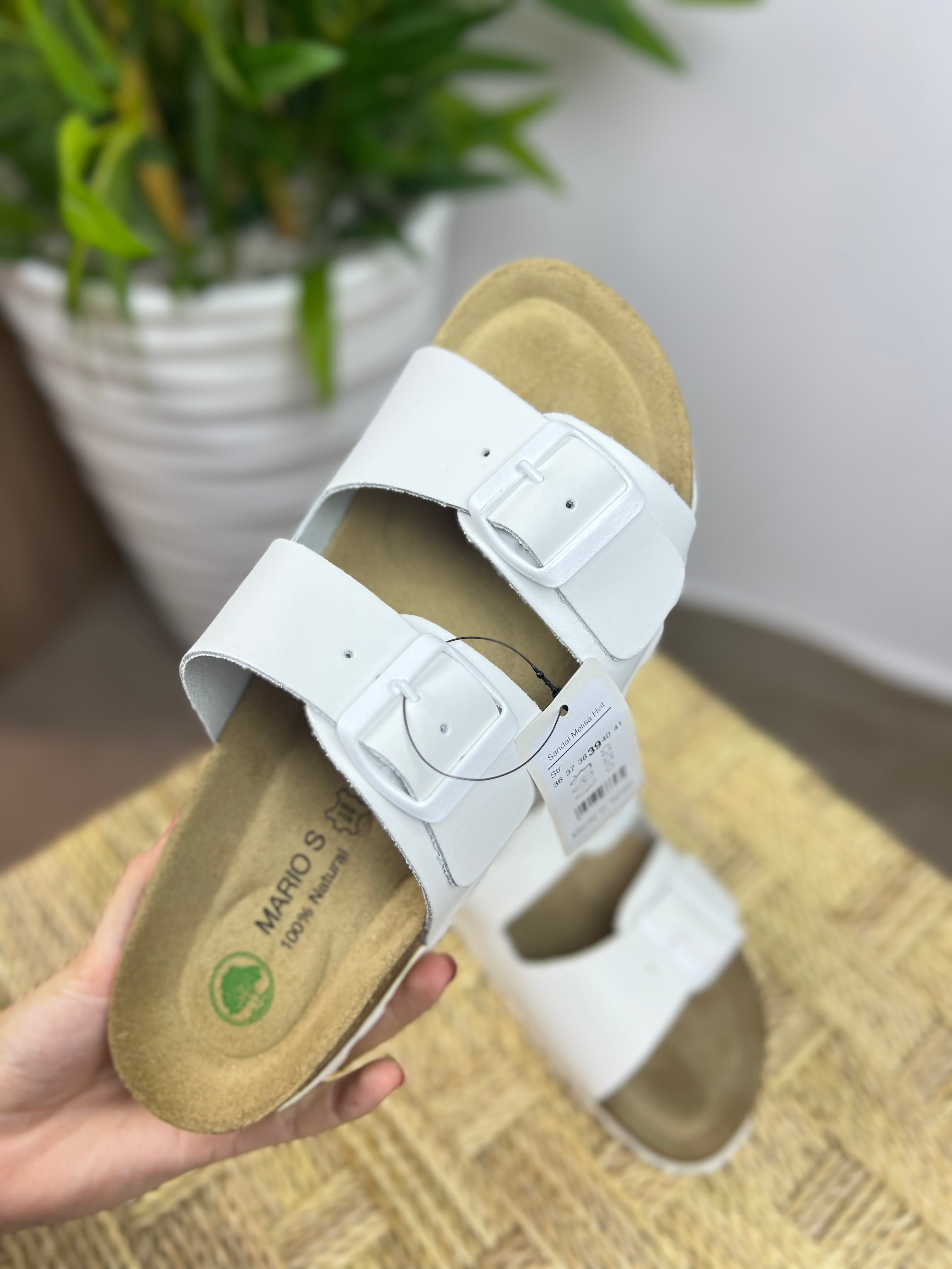 Zola : Sandale femme